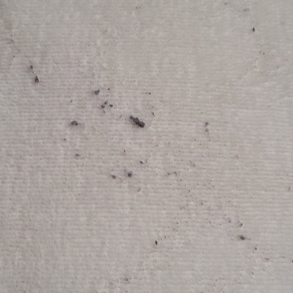 🍍UGG queen-size pillowcase🍍 - Picture 5 of 16